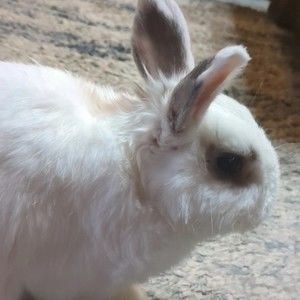 Meet your Posher, Jack